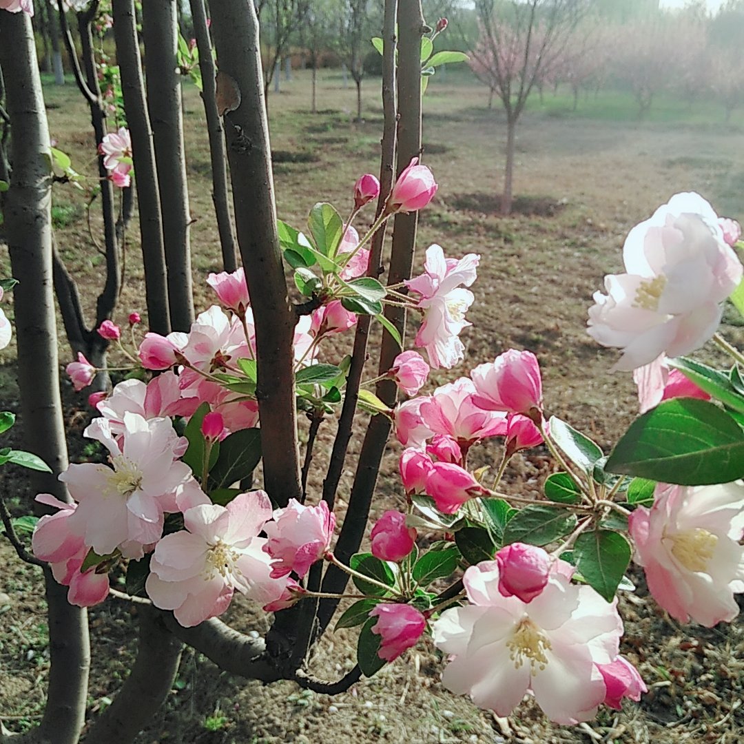 muqitong's tweet photo. 小fafa(❁´◡`❁)*✲ﾟ* https://t.co/Si2VrBLWBH