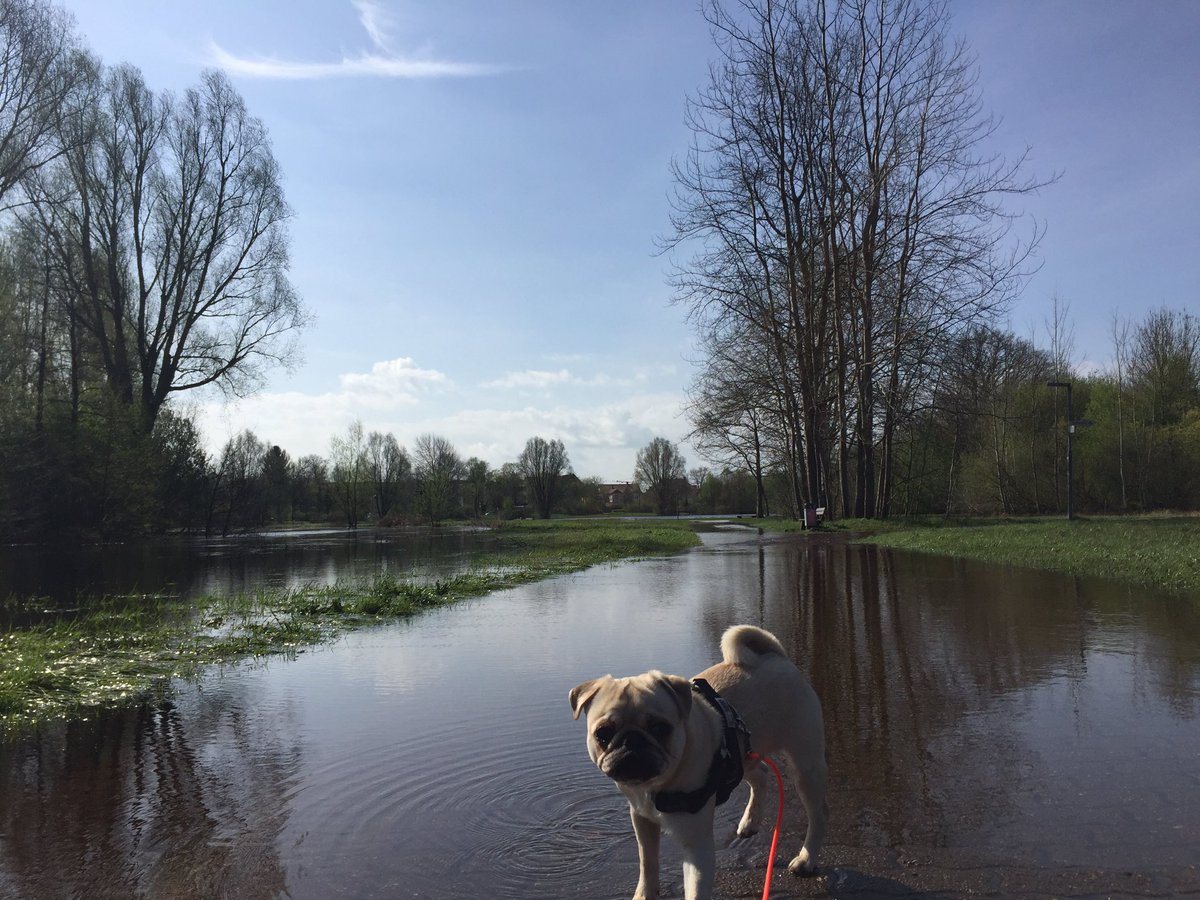 Leonides Pinkscrenovic On Twitter Wir Schwimmen Eben Nach Hause