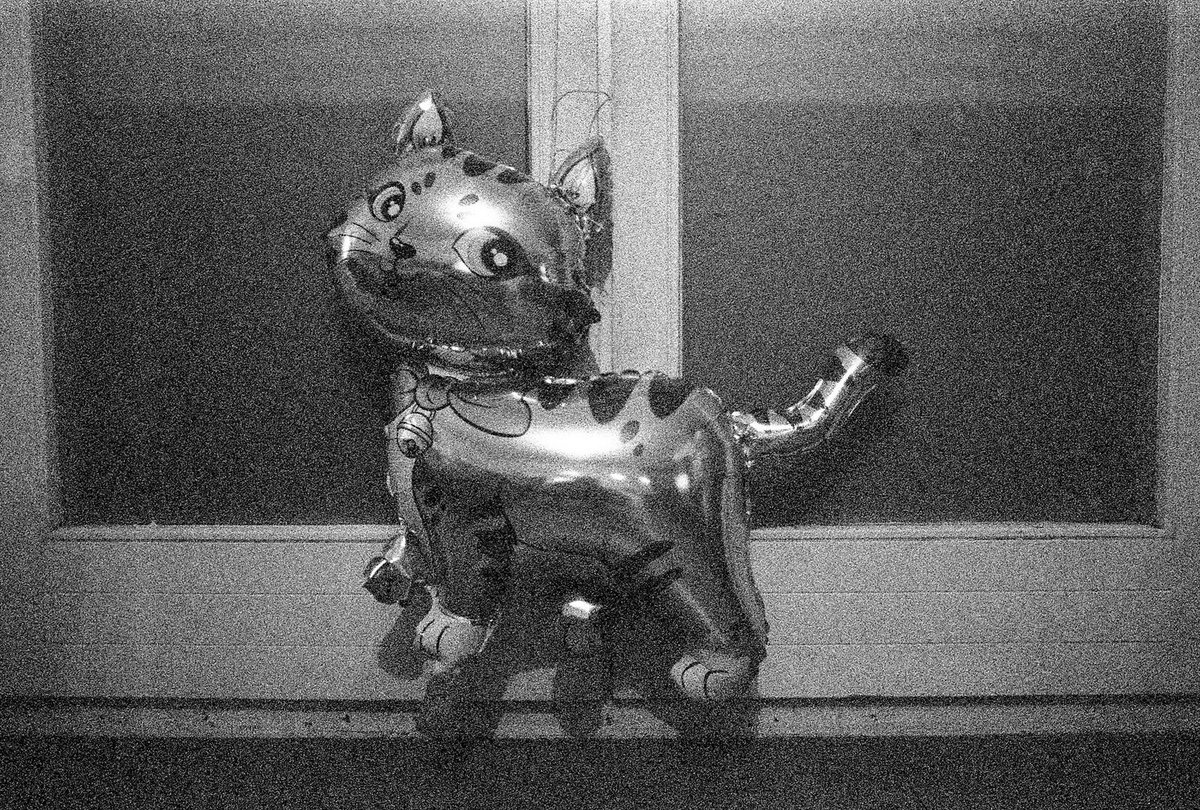 williamveder's tweet photo. Mindesthaltbarkeit abgelaufen: @Canon #A1 mit einem @ILFORDPhoto #Delta3200, der schon ein paar Jahre drüber war. Die Kamera aus dem Jahr 1978 funktioniert auch mit einem #Speedlite #580EXII. #filmisnotdead #blackandwhite #35mm #analog @Flickr https://t.co/lqkSt2axmz https://t.co/FT4yWASG3k