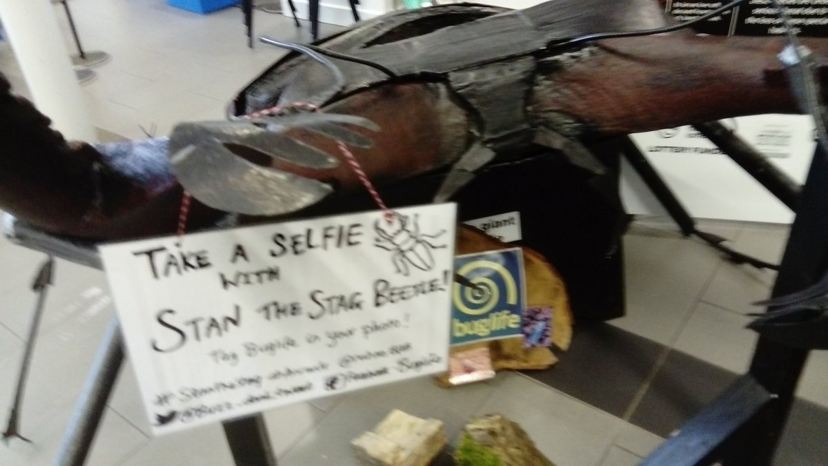 AndrewSalisbur2's tweet photo. Trying to do as I'm told, a really #BadSelfie @Buzz_dont_tweet #StanTheStag #EntoSci18 https://t.co/dUSsJMLaHA