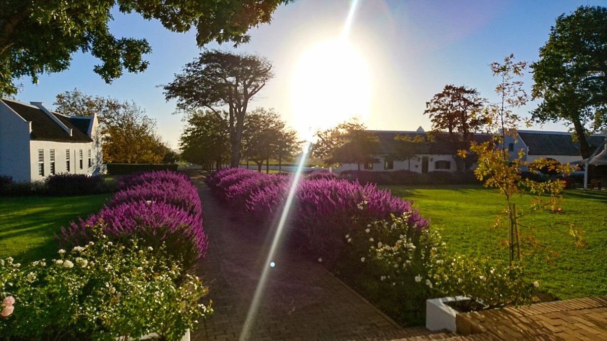 Happy memories of a beautiful stay <a href="/SteenbergWines/">Steenberg Vineyards</a>.
#ExploreCapeTown