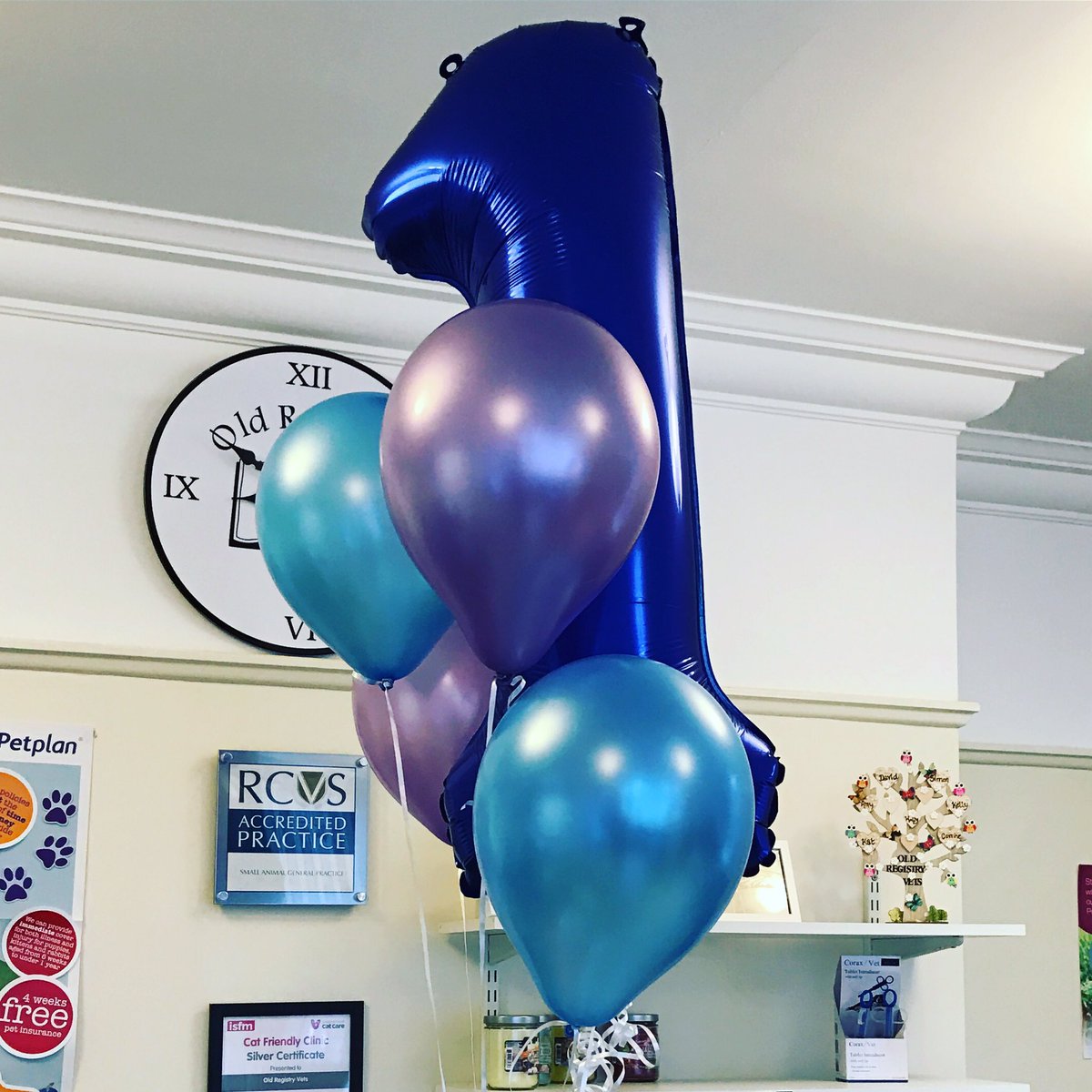 OldRegistryVets's tweet photo. Happy Birthday us! Keep your eyes peeled for more birthday posts! Thankyou for all your support! #birthday #vets #oldregistryvets #weare1 https://t.co/JnqiXqPRpn