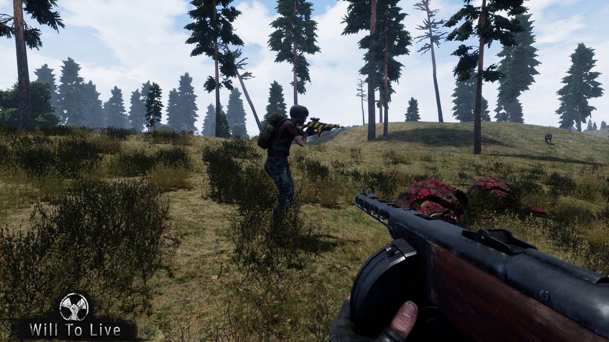 Вилл то лайф. Will to live картинки. Will to live online надпись. Will to live online системные требования. Игра will to live.