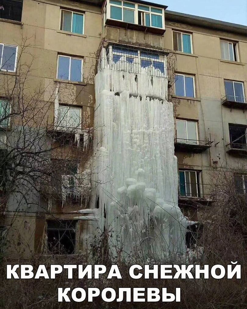 Виктория Жильцова (@g9269540380) on Twitter photo 