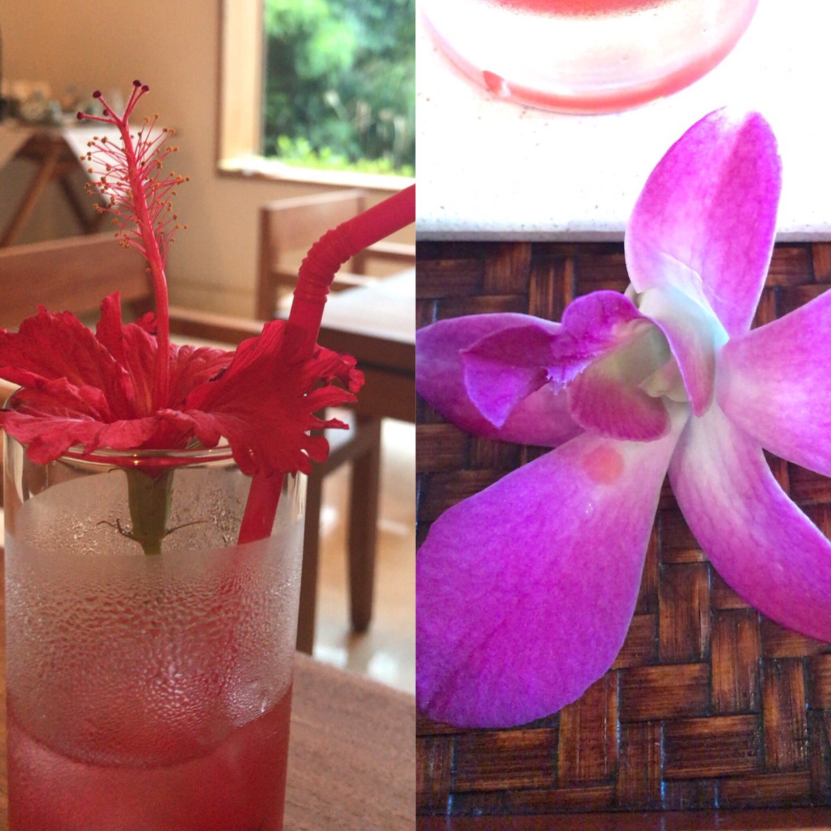 おやすみを頂きまして弾丸できております🙇🏼‍♀️🙇🏼‍♀️🙇🏼‍♀️ びしょ濡れです