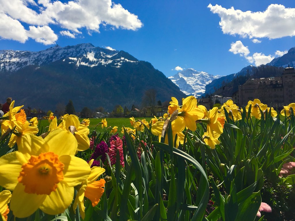 Wir heissen die Teilnehmer des Schweiz Tourismus Ferientag herzlich #willkommen #bienvenue #benvenuto #welcome in Interlaken☀️ Schön seid Ihr da♥️ #ferientag18 #interlaken