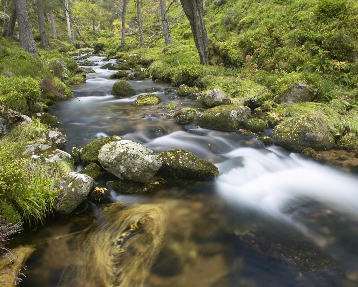 Revealed: The world's greatest national parks featuring the #Cairngorms #NationalPark  ow.ly/GELc30jwNF0