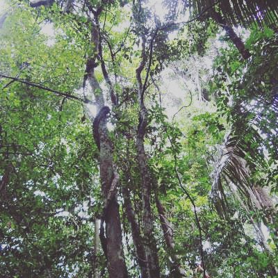 InkaLife's tweet photo. ŠAMANI, DNA A ENERGETICKÁ DĚDIČNOST
Iquitos, 1999
Čím jsi se začal zabývat jako prvním během svého šamanského výcviku? 
Organickou hmotou.
Čtěte zde:
https://t.co/qkLKahfXX6
Tým @InkaLife 
#energetico #inka #inkalife #heritage #organic #shaman #iquitos1999 https://t.co/ClA33cbklM