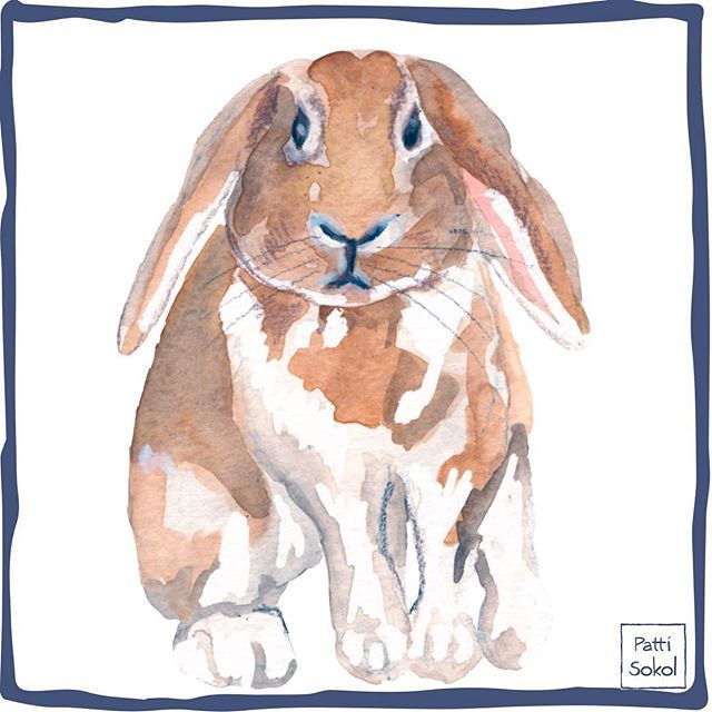 pattisokol's tweet photo. Hoppy Tuesday!  A sneak  peak at part of a project I’ve been working on. .
.
.
.
.
#womenartists #surfacedesigner #carveouttimeforart #createeveryday #pattisokol #helloartgallery #watercolor #surfacepattern #thatsdarling #painteveryday #bunniestagram #cr… https://t.co/NZ7CiJPgcj https://t.co/8hP2XcCaFi