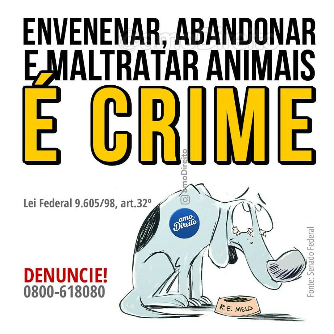 coltfabiothor's tweet image. #betaajudabeta #betaquerlab