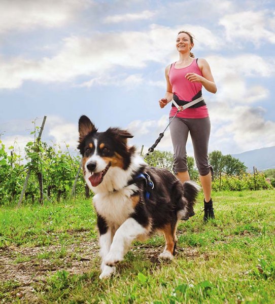weranda_magazyn's tweet photo. Jogging z psem - od czego zacząć? Zobaczcie: https://t.co/BtXGYrELdT https://t.co/vxU9g2pVU8