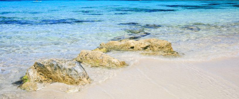 ruralformentera's tweet photo. https://t.co/ZaitVJfaem
A los pies del paraíso: #alquilar casa en #Formentera https://t.co/WFitYf7prH