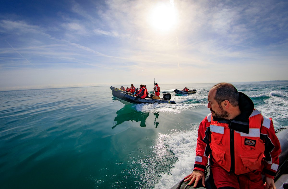 Greenpeace Italia tweet media