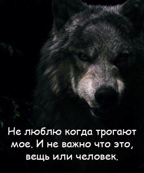 WeddingFeelings's tweet photo. https://t.co/qNEOEkLnAv