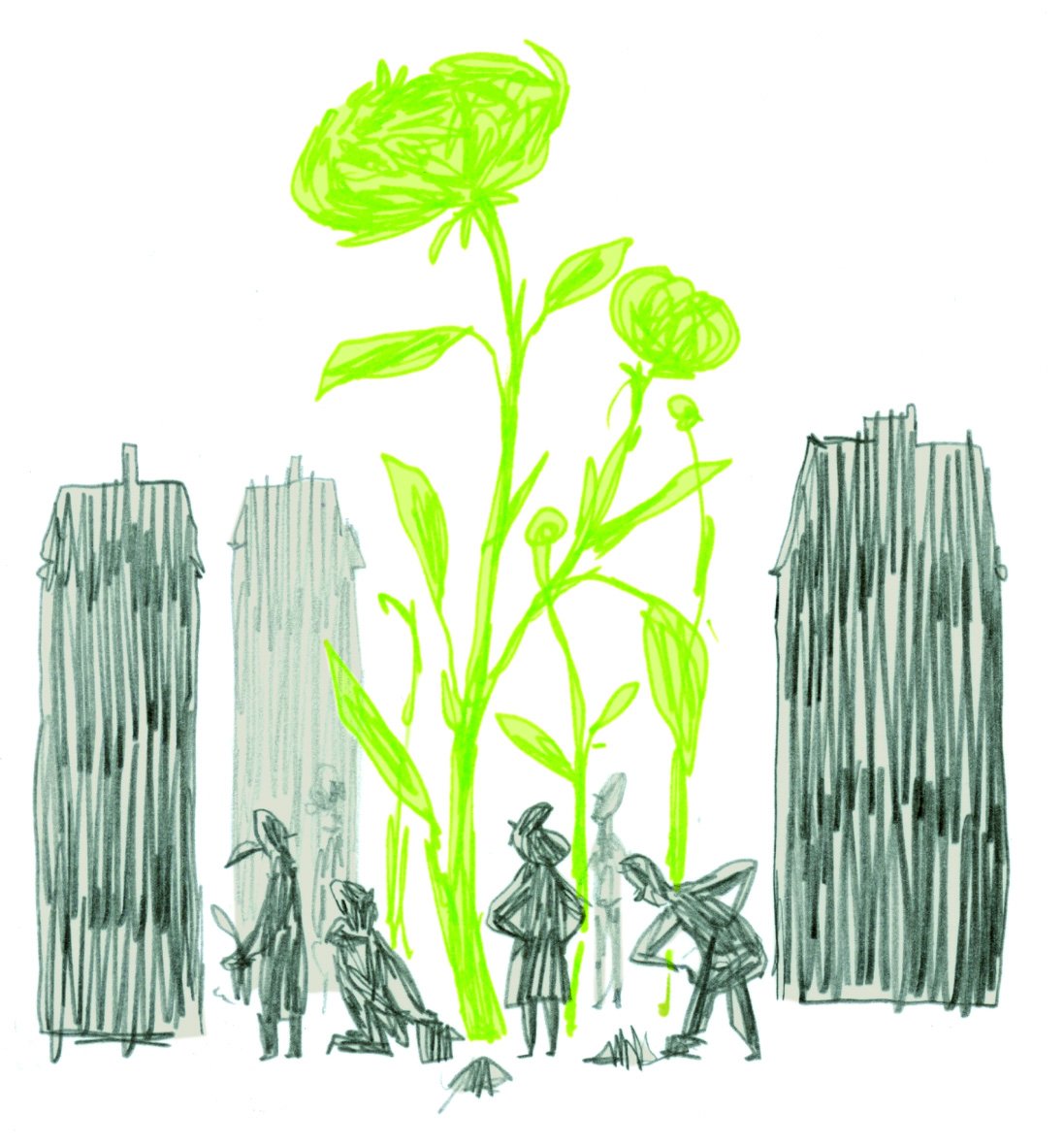 🍏 A Food Forest in your Backyard? 🍏 - mailchi.mp/0bb61e93faf2/a…