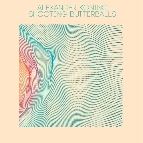 Warren Fellow tweet media