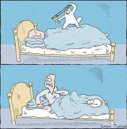 HA HA !!!
#cat #funny