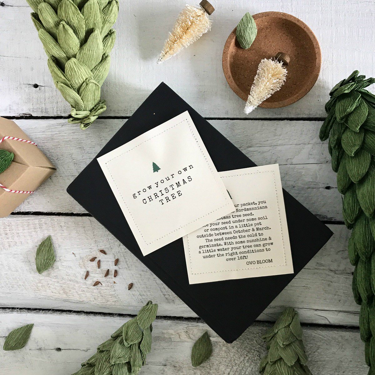 Helen Wilde tweet media