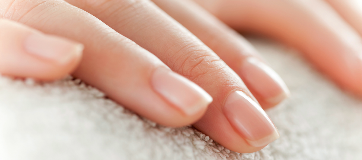 Pourquoi dit-on que les ongles poussent après la mort ?
pourquois.com/corps_humain/-…