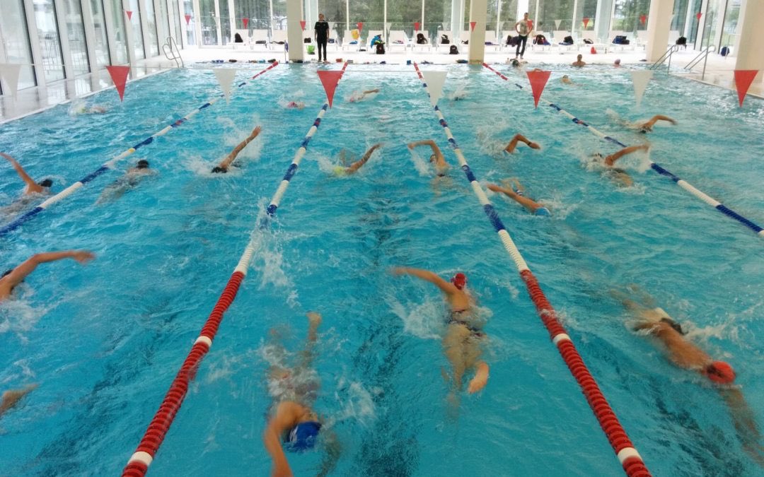 All Trisutto athletes. Read and re-read!  That's an order! 

trisutto.com/when-are-we-go…