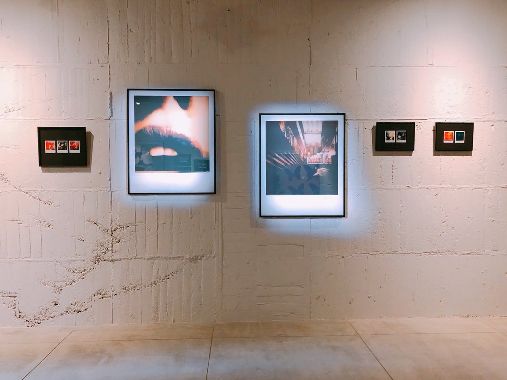 キティ ザ ノースフェイス スタンダード京都3階ギャラリー レプリケーション 蜷川実花展 Kyotographie 関連展示の Kg 一瞬をポラロイドで切り取ったストリートスナップ 小さな一片一片が雄弁に語り出す ムービーのインスタレーションも 入場無料 5