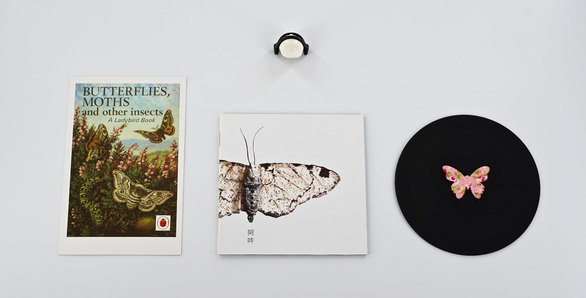 GMAssistance's tweet photo. How It Sounds #29 ... https://t.co/L11ALIEmt4 #AGMABugSeries #ButterfliesMothsAndOtherInsects #Ladybird #1965 #JohnLeighPemberton #Fennesz #Aun #Soundtrack #AshInternational #ASH9.5 #EdgarHonetschläger #PhilipMarshall #UseHearingProtection #GMA #GianniMottiAssistant https://t.co/irSgfrmenv