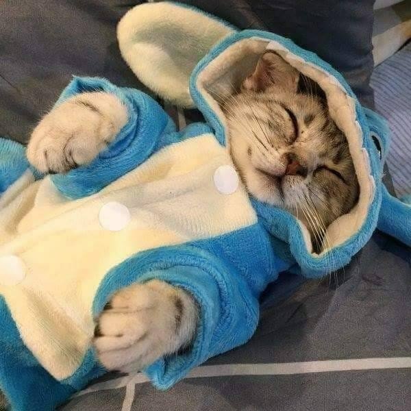 Мой Фетиш (@my__fetish) on Twitter photo 