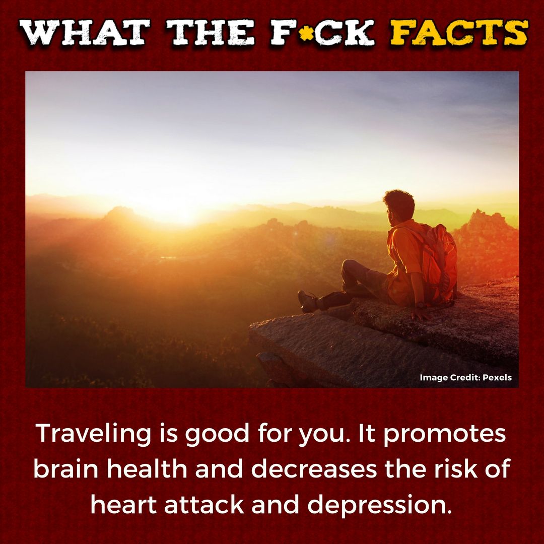 WhatTheFFacts's tweet photo. https://t.co/5qqfq086Fh