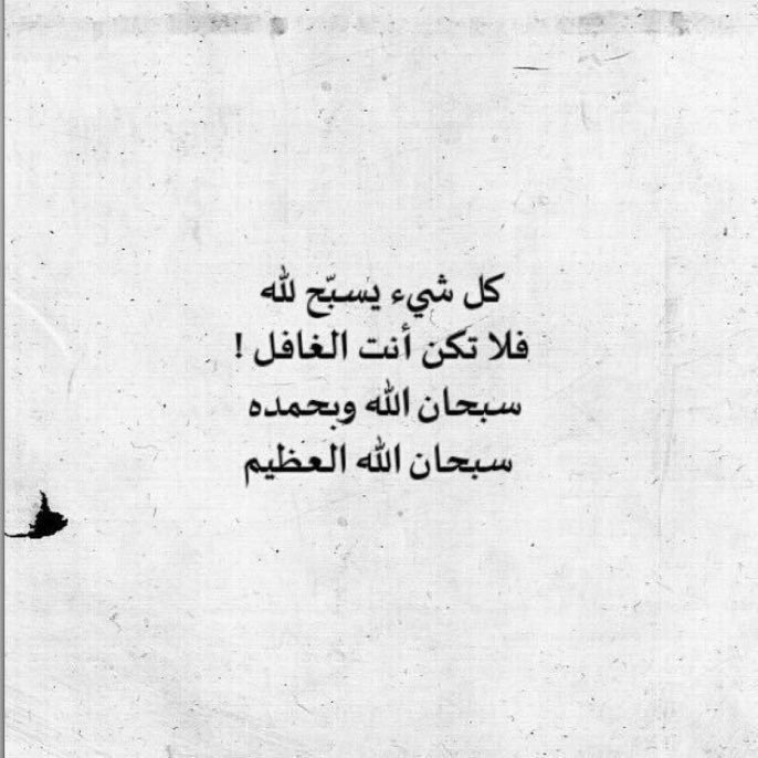 2ll4_'s tweet photo. '

!| گُل شي يسبّح للّہ . .💜' https://t.co/qDeCZ3fpqc