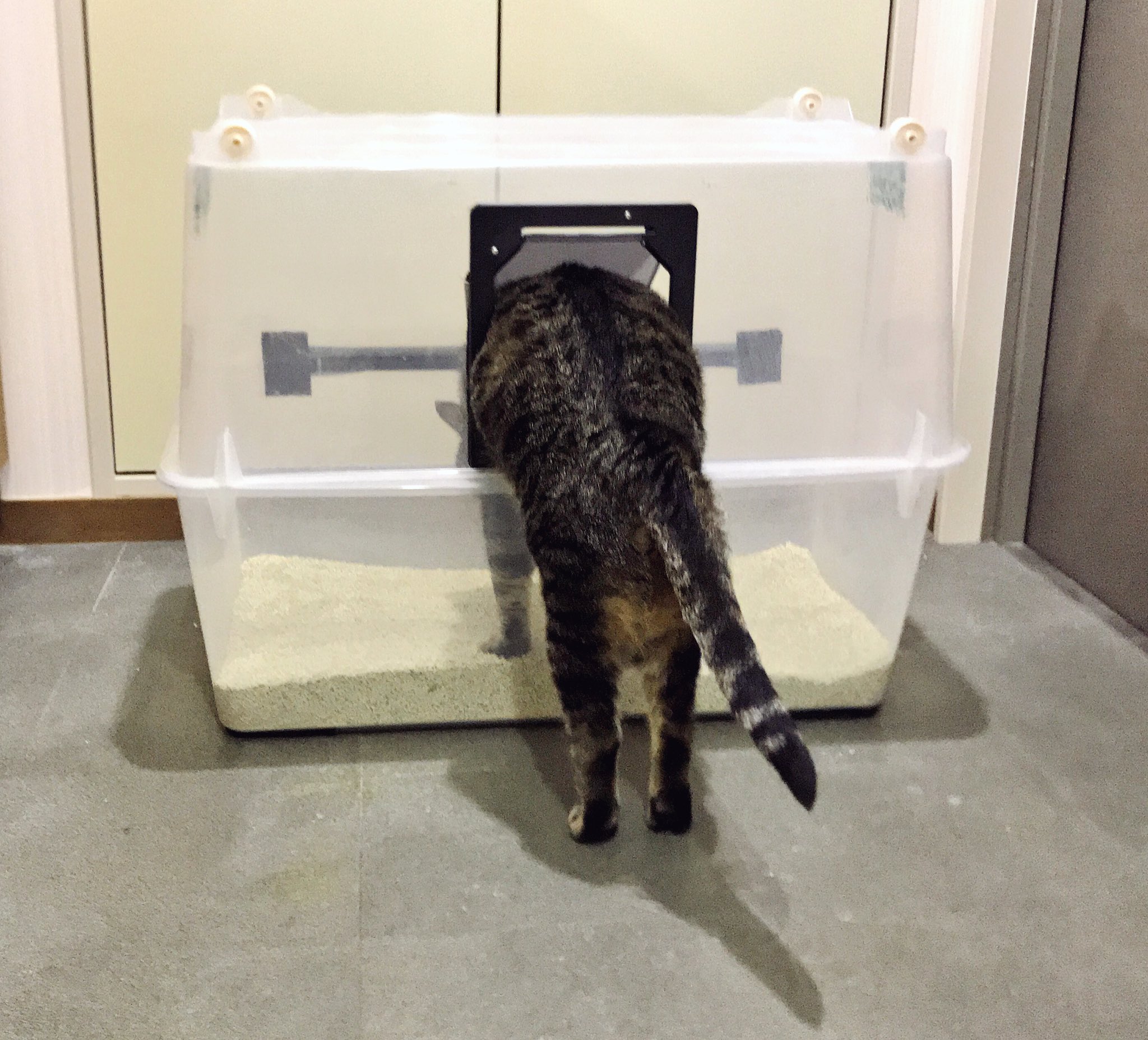 ねこナビ編集部 No Twitter 猫トイレのにおい問題解決法 衣装ケース 底が平らなもの 2をガムテープで合わせ 上部ケース の中心部を切り抜き 犬猫用出入り口 網戸用 をはめ込んで完成です ケース内ににおいを閉じ込められ 猫も広々とトイレが使えるので一石二鳥
