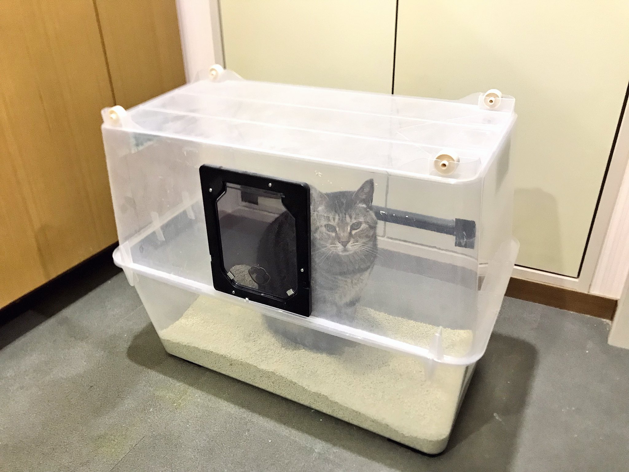 ねこナビ編集部 猫トイレのにおい問題解決法 衣装ケース 底が平らなもの 2をガムテープで合わせ 上部ケースの中心部を切り抜き 犬猫用出入り口 網戸用 をはめ込んで完成です ケース内ににおいを閉じ込められ 猫も広々とトイレが使えるので一石二鳥