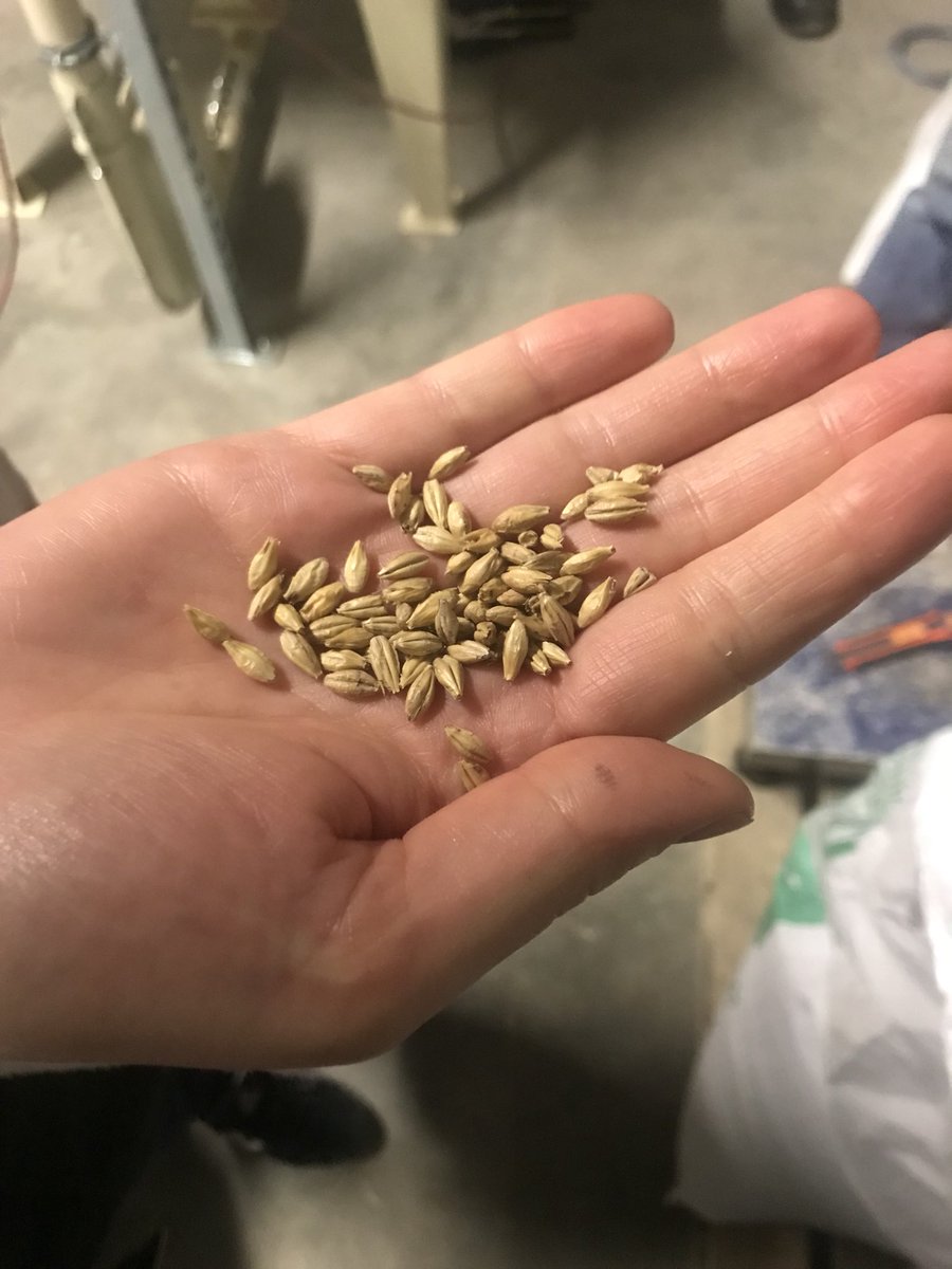 _NATURALIA's tweet photo. Ce matin nous avons visité la Brasserie artisanale #Volcelest à Le Perray-en-Yvelines (78) ! Merci à l’équipe pour leur super accueil 🍻 #bierelocale #bio #naturalia https://t.co/nWnA7GN6Rt