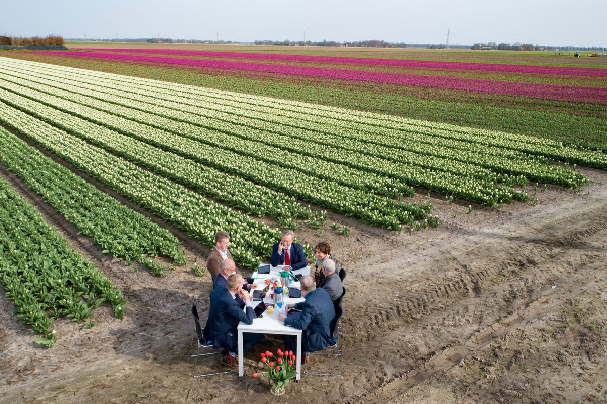 Ons College vergaderde vanmorgen tussen de tulpen.
Vrijdag begint het #tulpenfestival.
3000 ha in bloei. Goede besluiten genomen!
