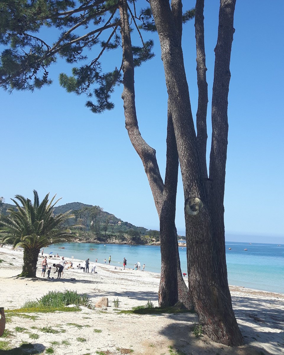 Disnardluciani's tweet photo. #chipiacè #mareesole #plagedargent #paradisula #vacanze https://t.co/bZf76RZzrF