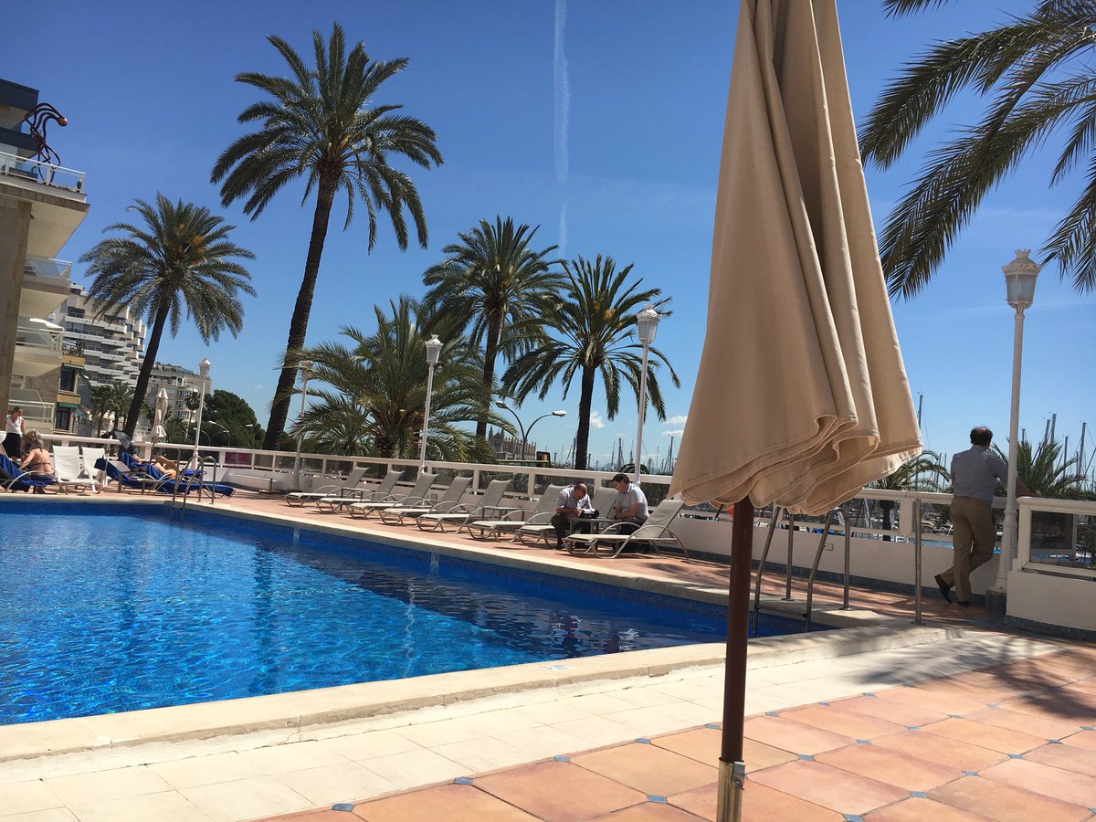 Amanda Ludlow tweet media