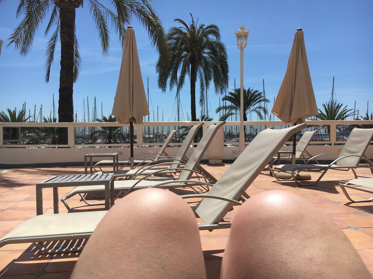 Amanda Ludlow tweet media