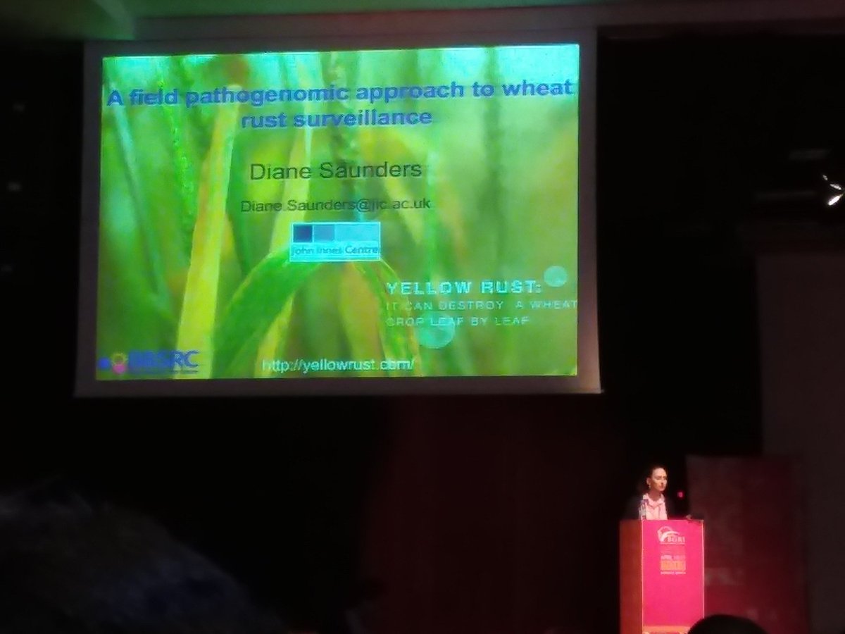 WheatSingh's tweet image. Excellent talk by @Saunders_Lab on #PathoGenomics and #Surveillance of #StemRust #BGRI2018 #Marrkach @JohnInnesCentre