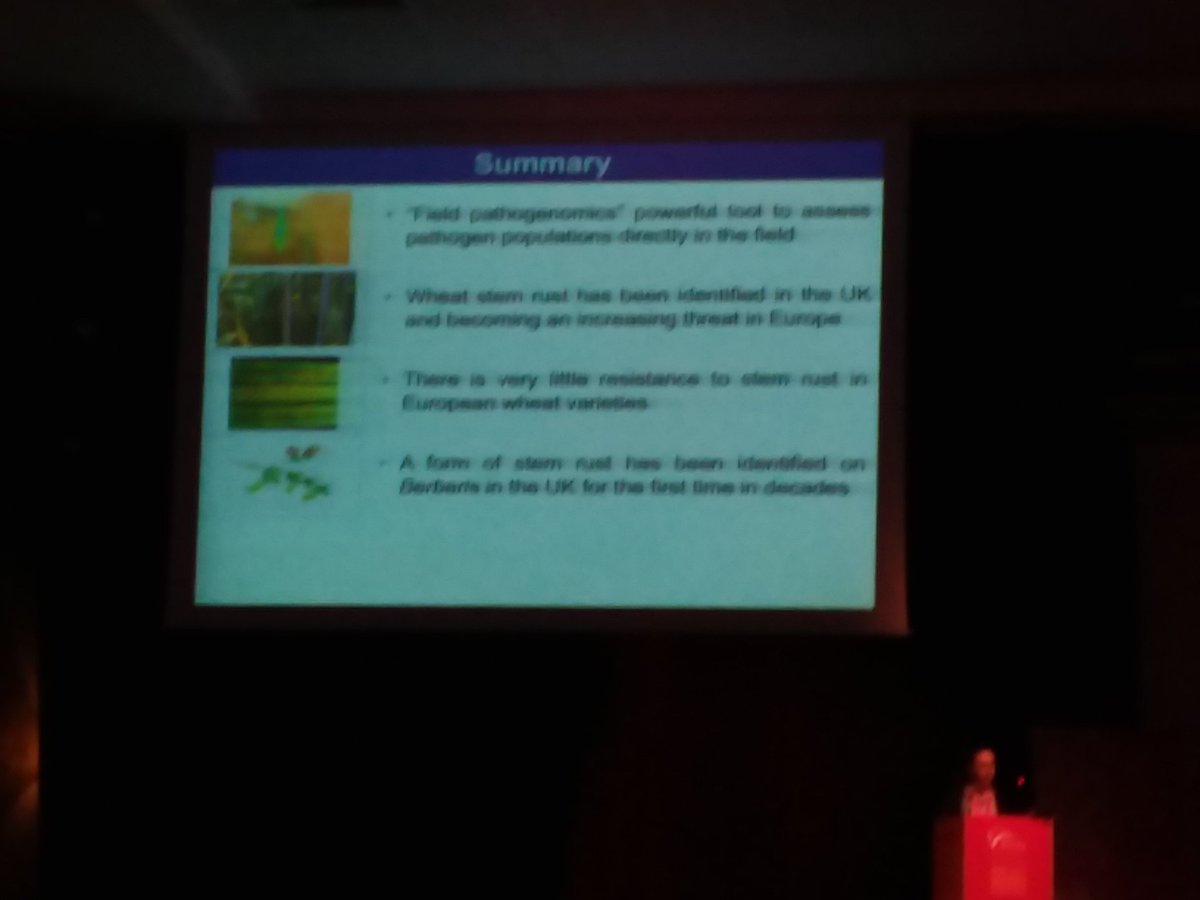 WheatSingh's tweet image. Excellent talk by @Saunders_Lab on #PathoGenomics and #Surveillance of #StemRust #BGRI2018 #Marrkach @JohnInnesCentre