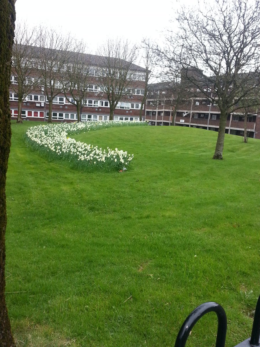 Eldon Street is looking blooming good <a href="/FirstForFCHO/">First Choice Homes Oldham</a>