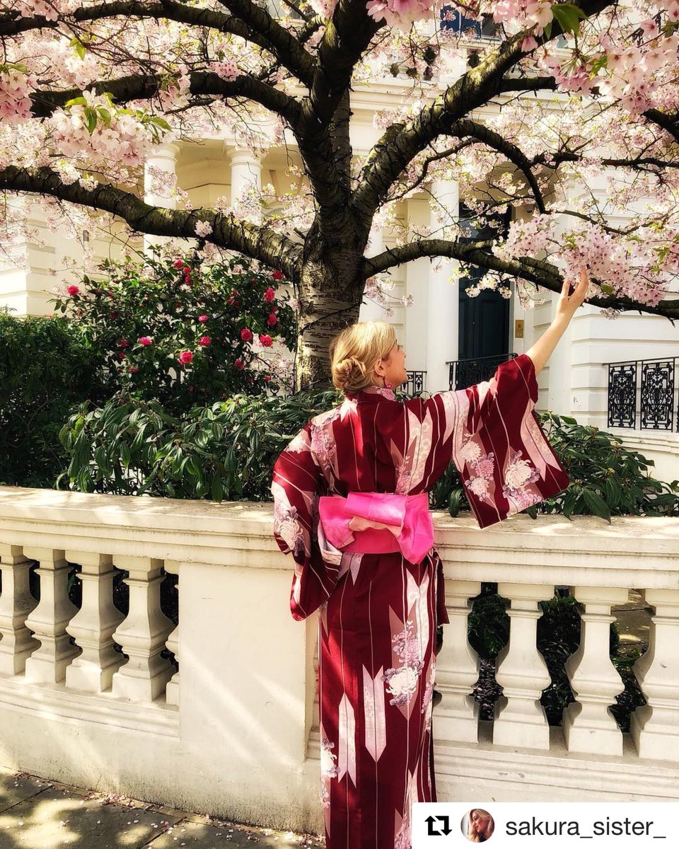 WasoukanEurope's tweet photo. We open 11:00-18:00 today.

#kimono #butique and #matcha #bar

293 Westbourne Grove
London
W11 2QA

#japan #london #uk #unitedkingdom #fashion #outfit #tea #cafe #sweets #nottinghill #portobello #portobellomarket #Japan #Japanese #culture #traditional #style https://t.co/YxKDdkXj2T