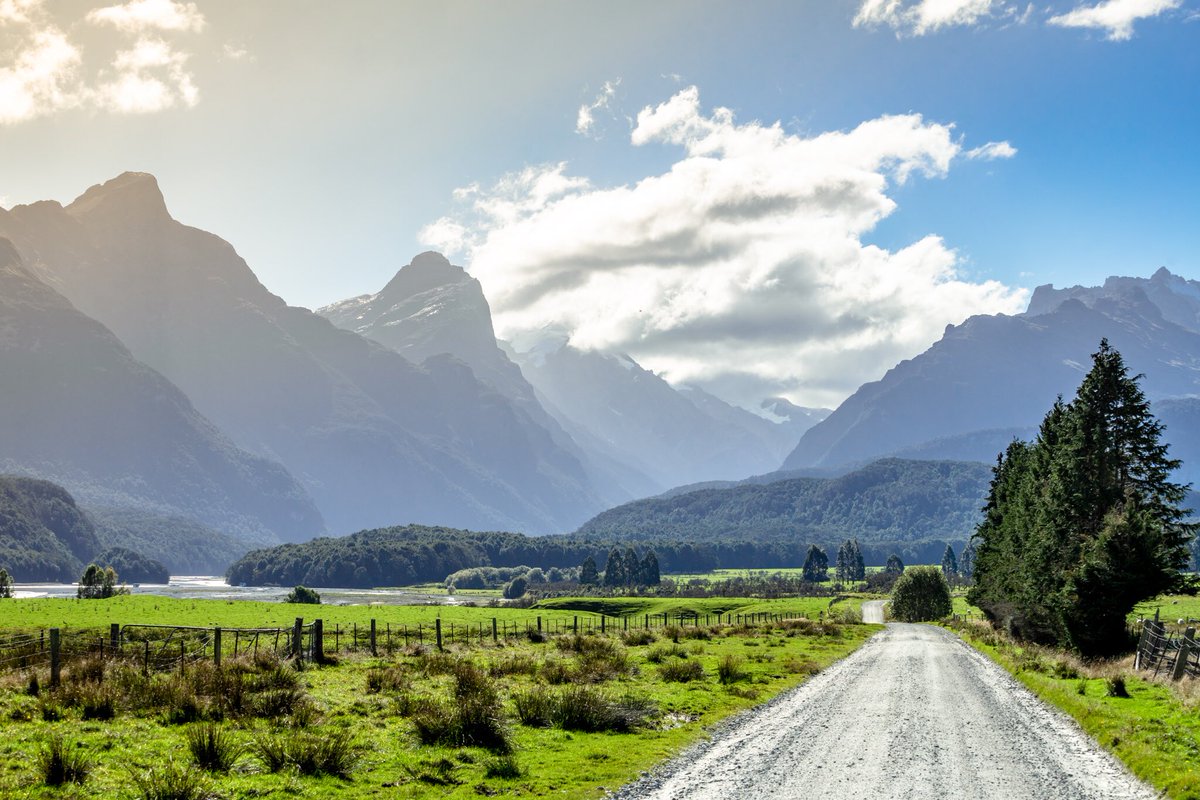 Dark Markets New Zealand Dark Markets New Zealand