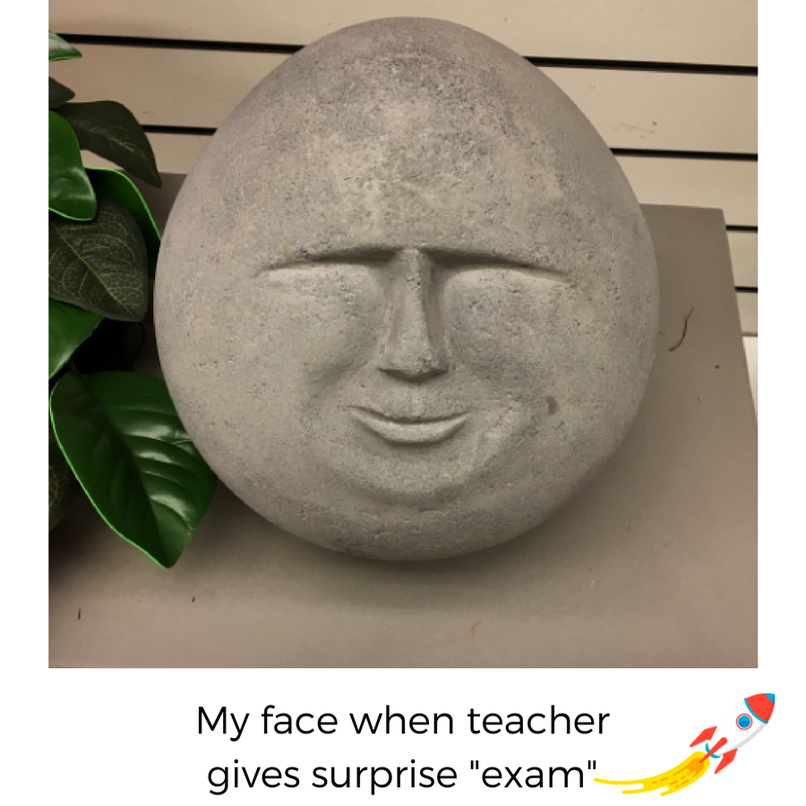 SameDayEssay's tweet photo. My face when #teacher gives surprise #exam 

#StudentProblems https://t.co/5w4M4IwIiX