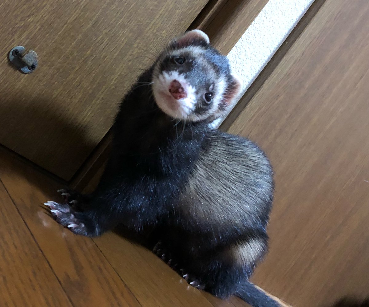 メロンソーダ👾 tweet media