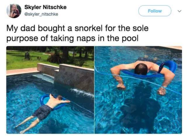 WholesomeMeme's tweet photo. Credit @skyler_nitschke https://t.co/eflOzIrorb