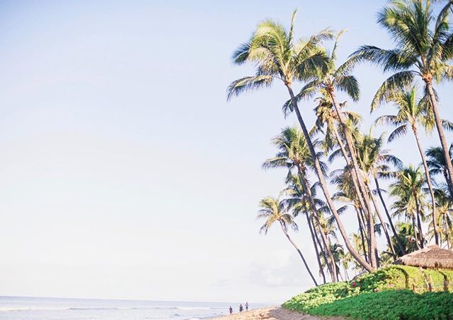 ddobson_photo's tweet image. Missing my traveling days and looking forward to a new adventure. Thinking of visiting New England and Maine this fall. Any vendors out there want to collaborate on a beautiful stylized session!!?? #delaneydobsonphotography #lookingforvendors #stylizedsh… ift.tt/2HzrmZ6