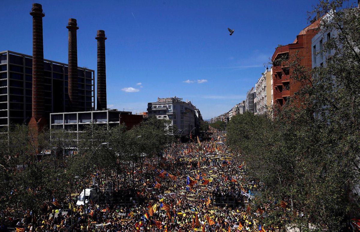 3CatInfo tweet media