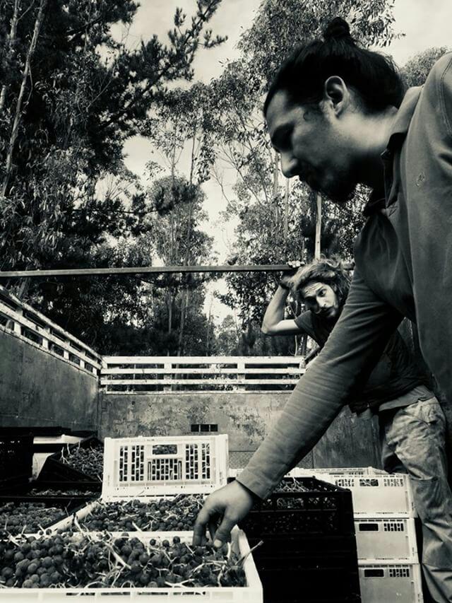 Henriquez_Rober's tweet image. País del sur de Chile
#atomar