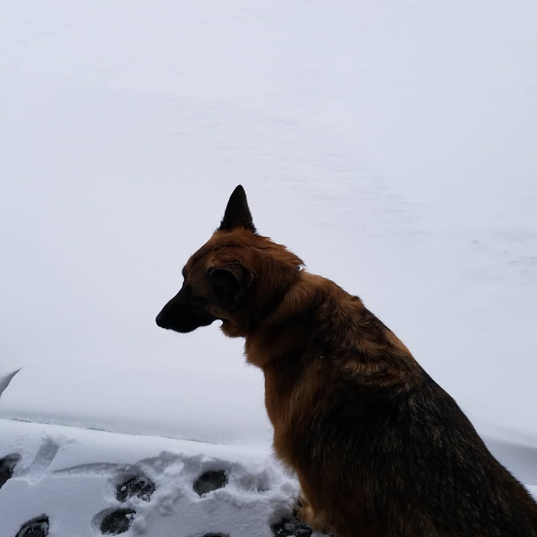 DanielMGardiner's tweet photo. I know Gabbi's thinking, " what the hell, it's April 15th!" https://t.co/fHhfVojHFn