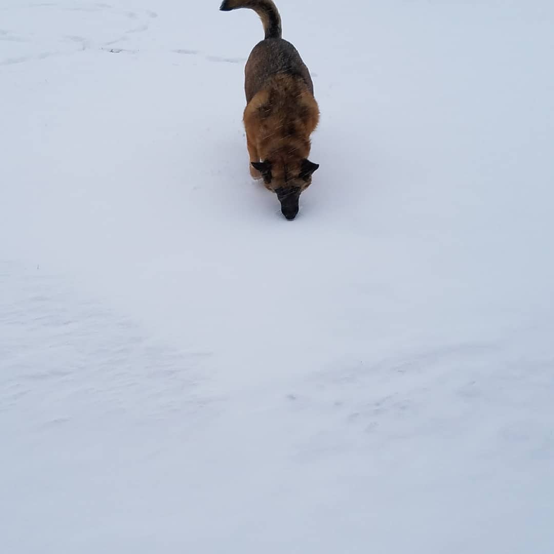 I know Gabbi's thinking, " what the hell, it's April 15th!"