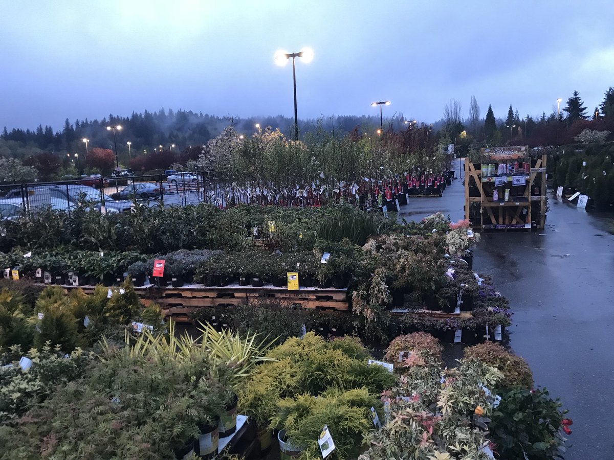 thddavesmith's tweet image. Pre-dawn in the pnw is so relaxing and quiet.  @AngelaR118 @THDPNWPride  #pnwsbf